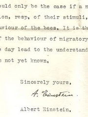 einstein scrisoare simturi animale